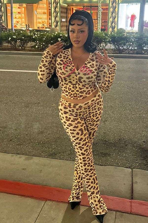 Leopard Print Hooded Crop Tops Pants Set - S, Brown image