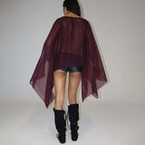 Deep V Plum Sheer Top image 4