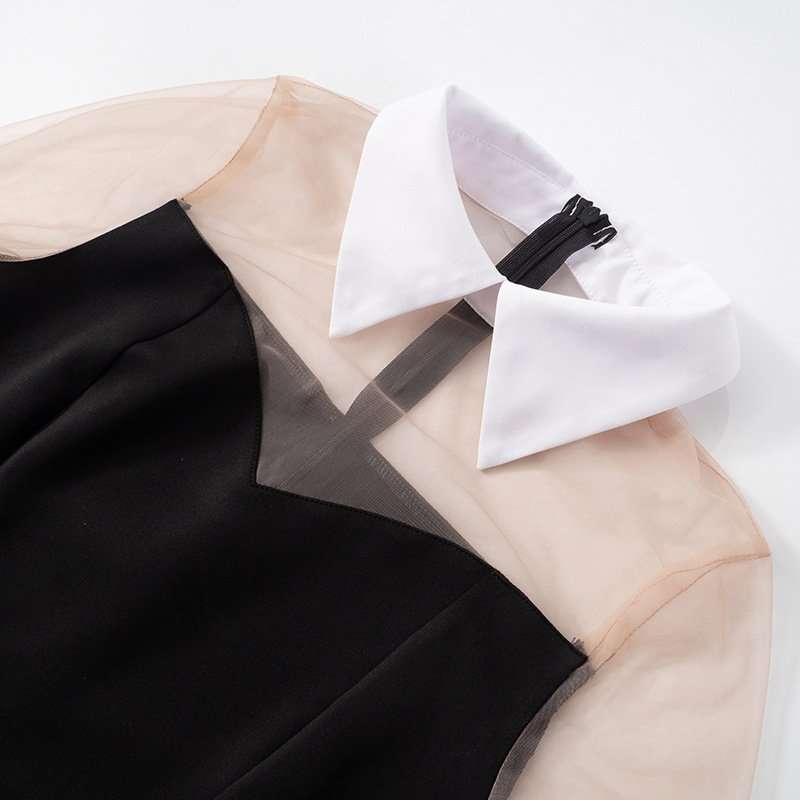 Chic Contrast Collar Mini Dress image 4