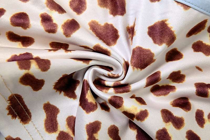 Leopard Print Dash Top image 5