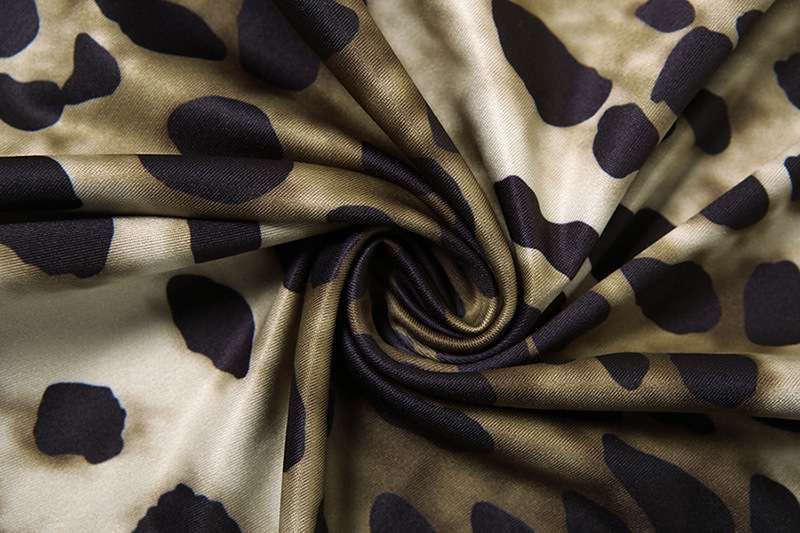 Leopard Print Bodycon Dress image 7