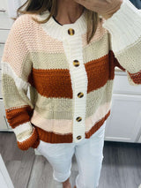 Mixed Stripes Colorful button-Up Sweater image 1