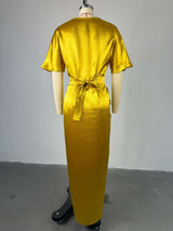 Elegant Drape Maxi Dress image 4