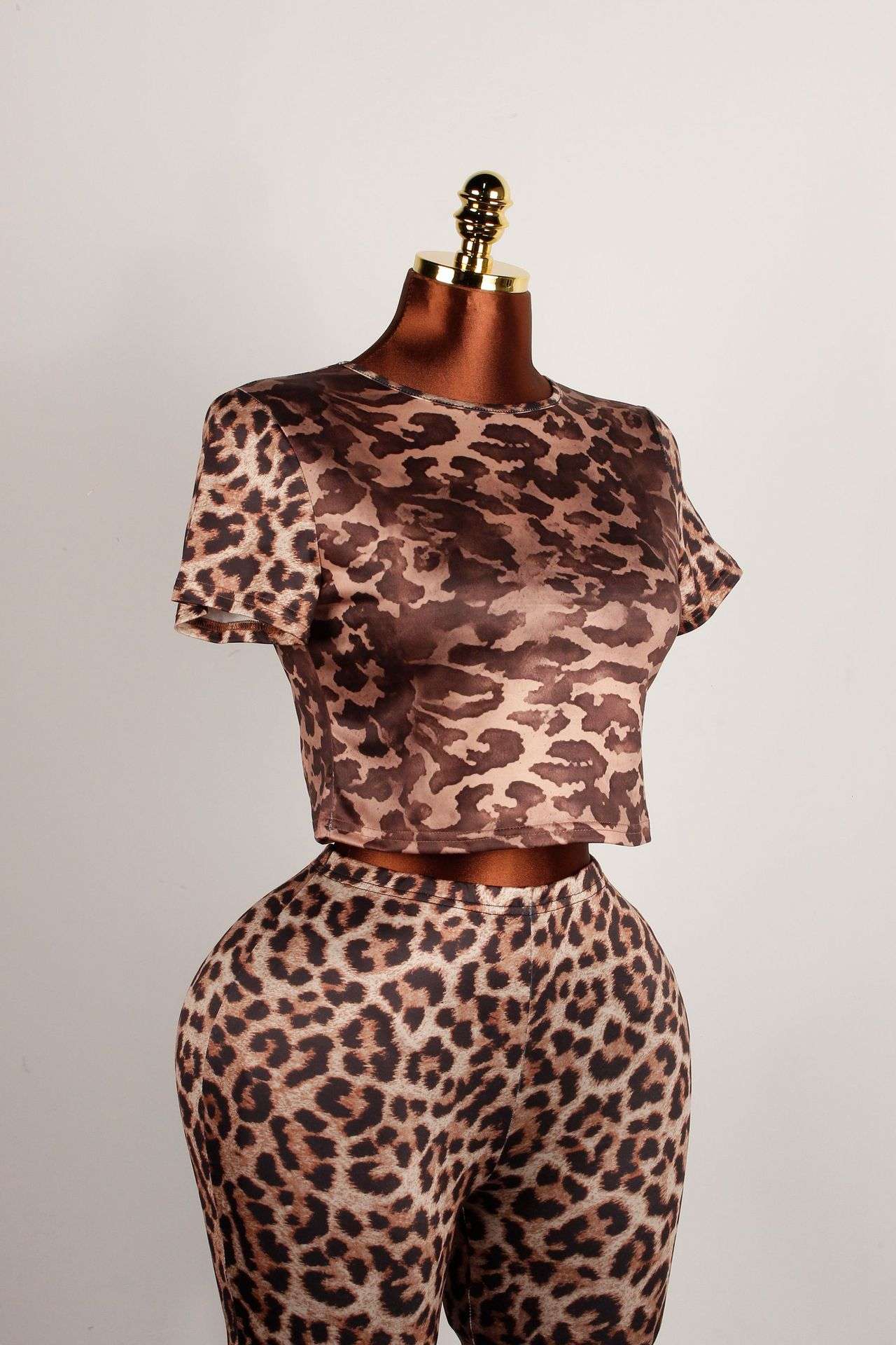 Leopard Print Crop Top & Flared Pants Set image 2