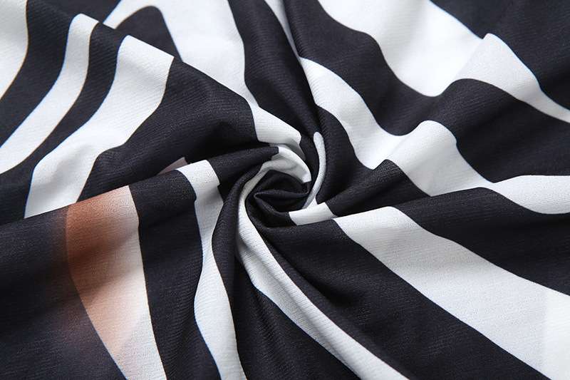 Bold Zebra Print Shirt Dress image 6