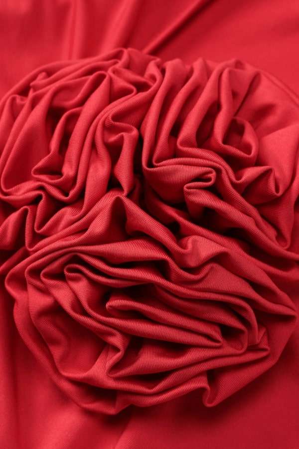 Elegance in Rouge image 8