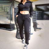 Turndown Collar Zipper Drawstring Crop Top and Pant set image 2