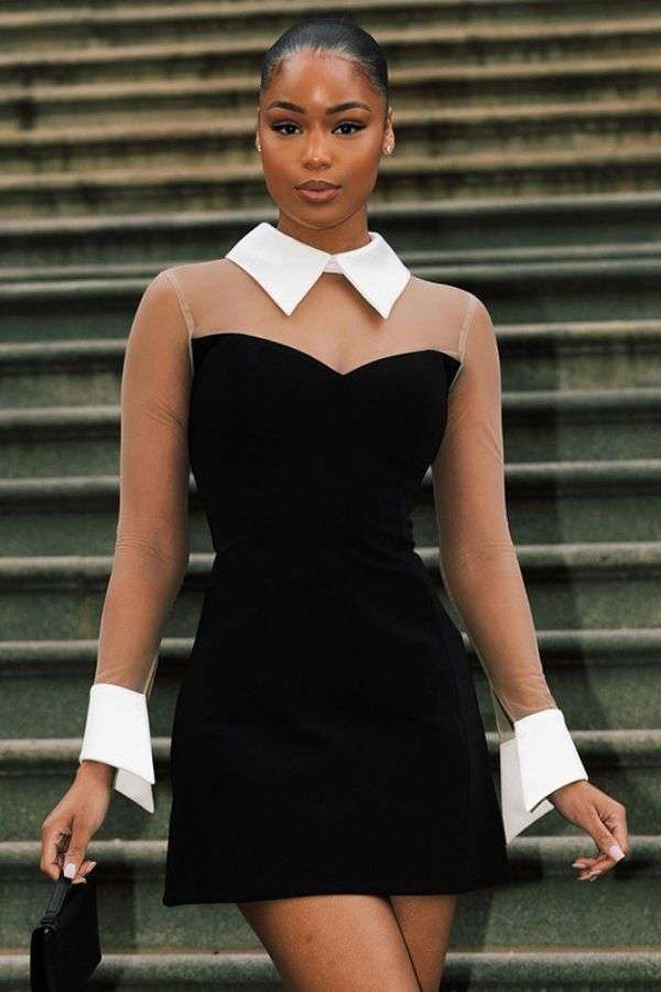 Chic Contrast Collar Mini Dress image 0