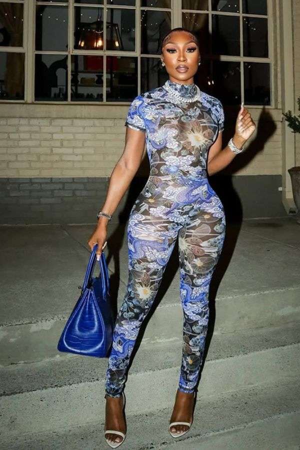 Print Mesh Bodycon  Jumpsuit image 0