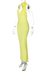 Radiant Rose Halter Maxi Dress image 5