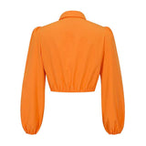 Fashion Long Sleeve Slim Fit Short Blouse image 4