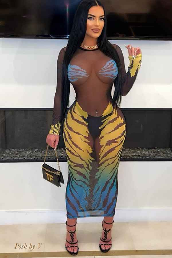 Sexy 3D Print See-Through Mesh Long Sleeve Maxi Dress image 0