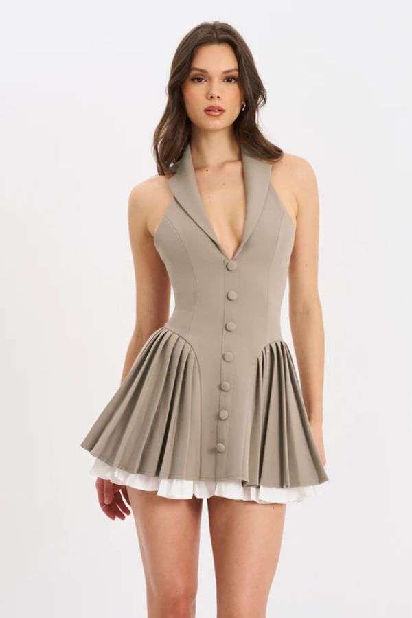 Sleeveless Button-Front Pleated Dress image 1