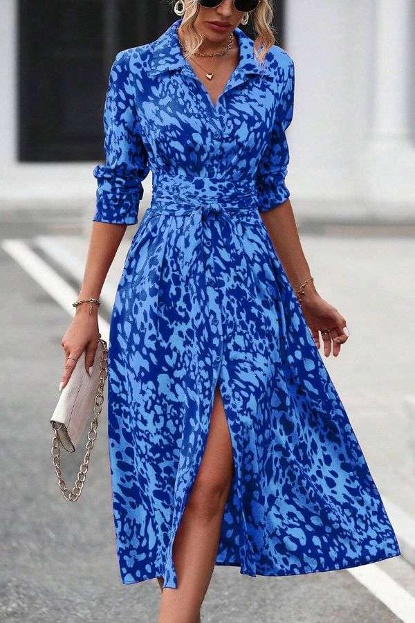 Animal Print Button-Front Maxi Dress image 0