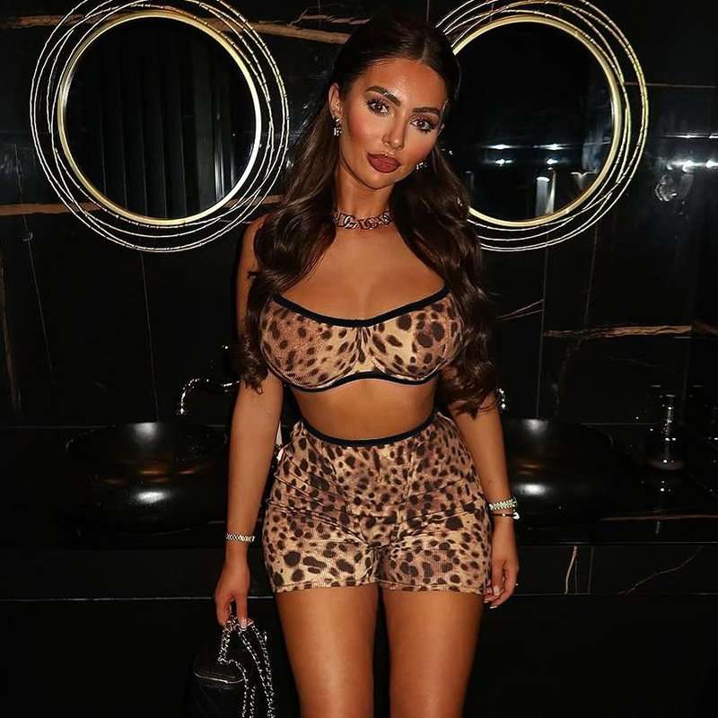 Leopard Print Crop Top & High-Waist Shorts - L, Brown image