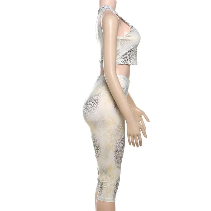 Leopard Print Two-Piece Set image 4