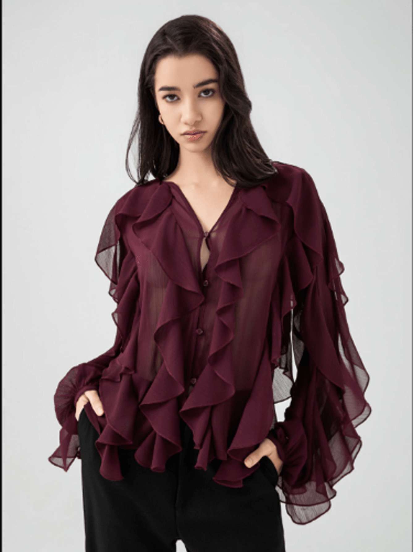Elegant Ruffled Sheer Blouse image 3