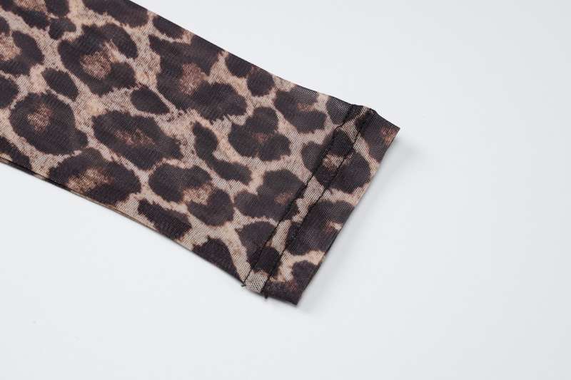 Leopard Print Mesh Party Club Dresses image 8