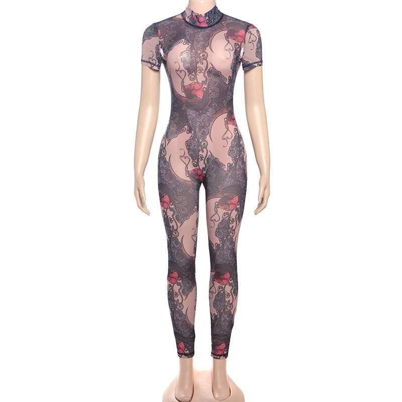 Print Mesh Bodycon  Jumpsuit image 4