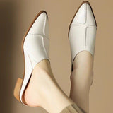 Women's Pointed Toe Slip-On Loafers with Low Block Heels