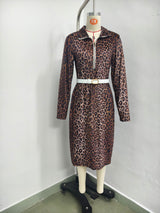 Leopard Print Long Sleeve Dress