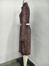Leopard Print Long Sleeve Dress