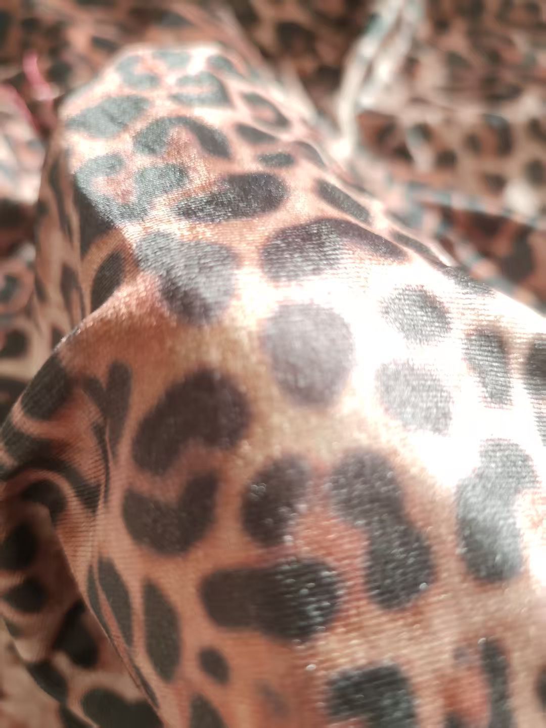 Leopard Print Long Sleeve Dress