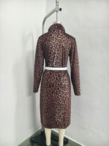 Leopard Print Long Sleeve Dress