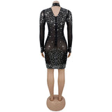 Embellished Dress with Metallic Finish