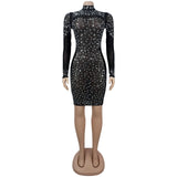 Embellished Dress with Metallic Finish