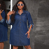 Casual Denim Shirt Dress