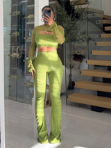 مجموعة متناسقة نابضة بالحياة