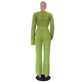 مجموعة متناسقة نابضة بالحياة