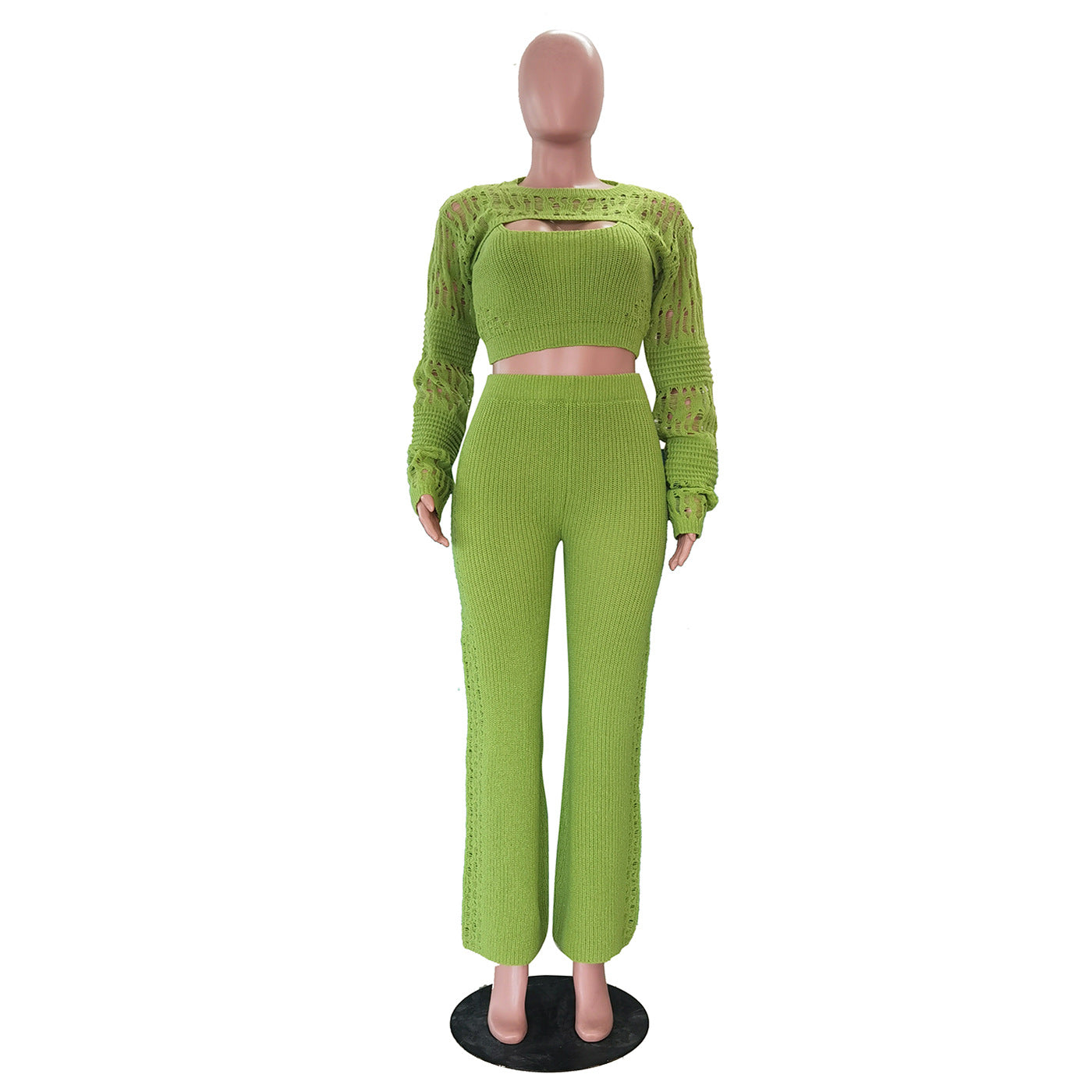 مجموعة متناسقة نابضة بالحياة