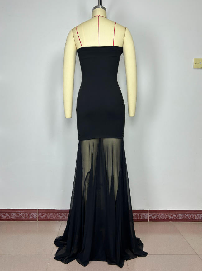 Maxi Dress with Sheer Pleated Skirt