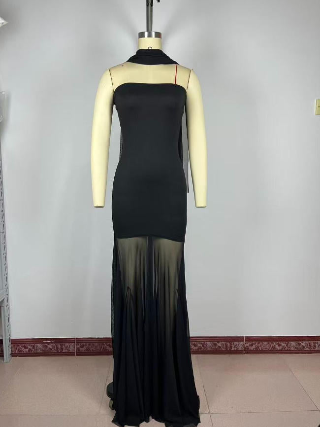 Maxi Dress with Sheer Pleated Skirt