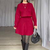 Cozy Top & and Pleated Skirt Set