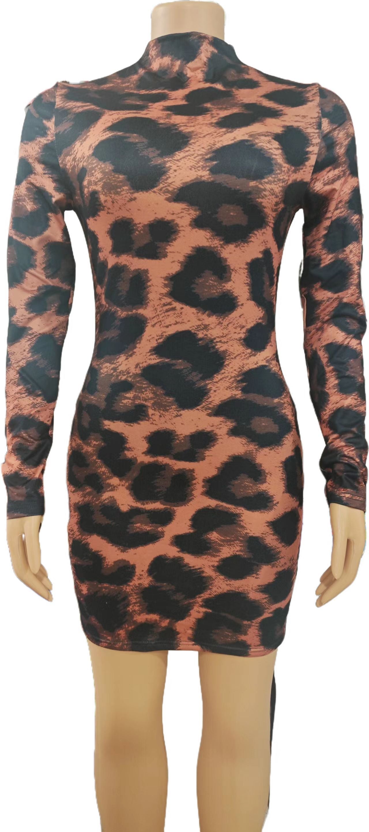 Leopard Print Bodycon Dress