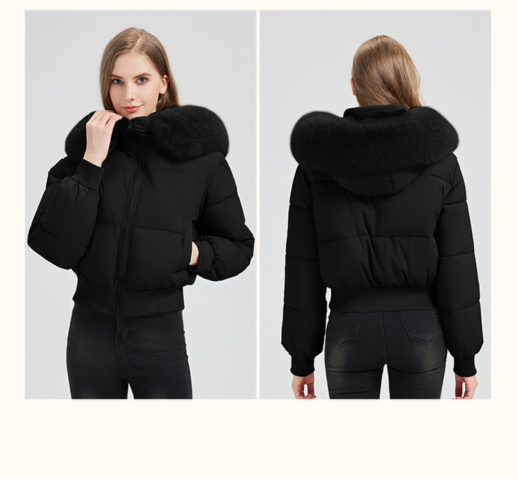 Elegant Faux Fur Trim Jacket