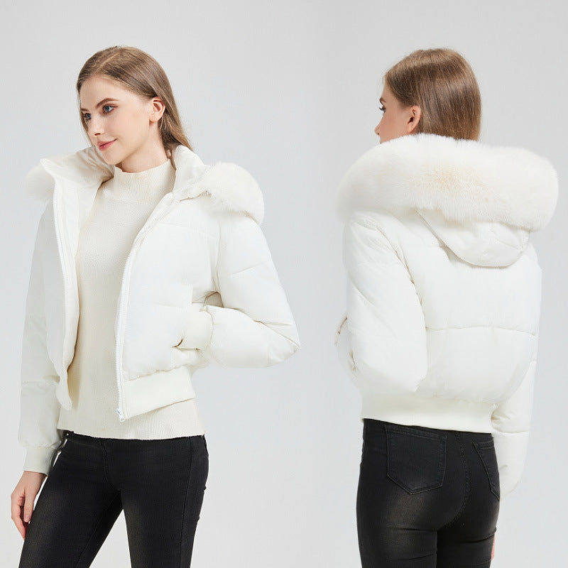 Elegant Faux Fur Trim Jacket