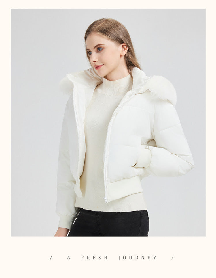 Elegant Faux Fur Trim Jacket