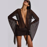 Sheer Dress with Deep V-Neck