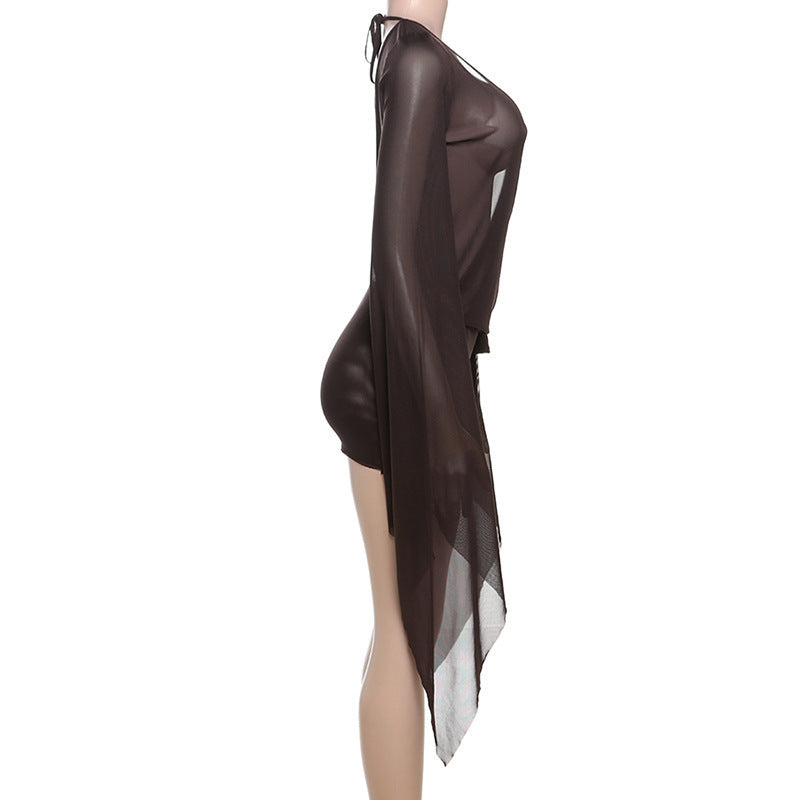 Sheer Dress with Deep V-Neck