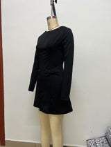 Long Sleeve Dress with Waist Details