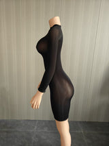 Bodycon Dress with Sheer Mesh Details