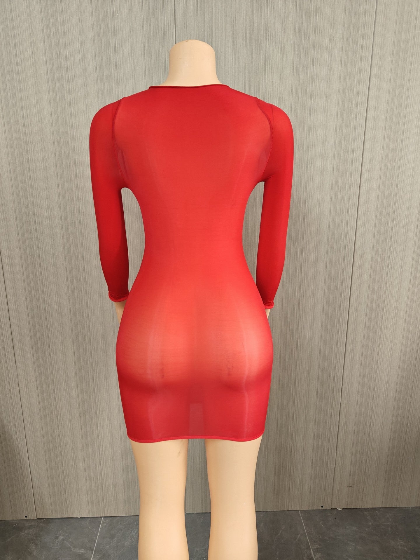 Bodycon Dress with Sheer Mesh Details
