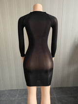 Bodycon Dress with Sheer Mesh Details