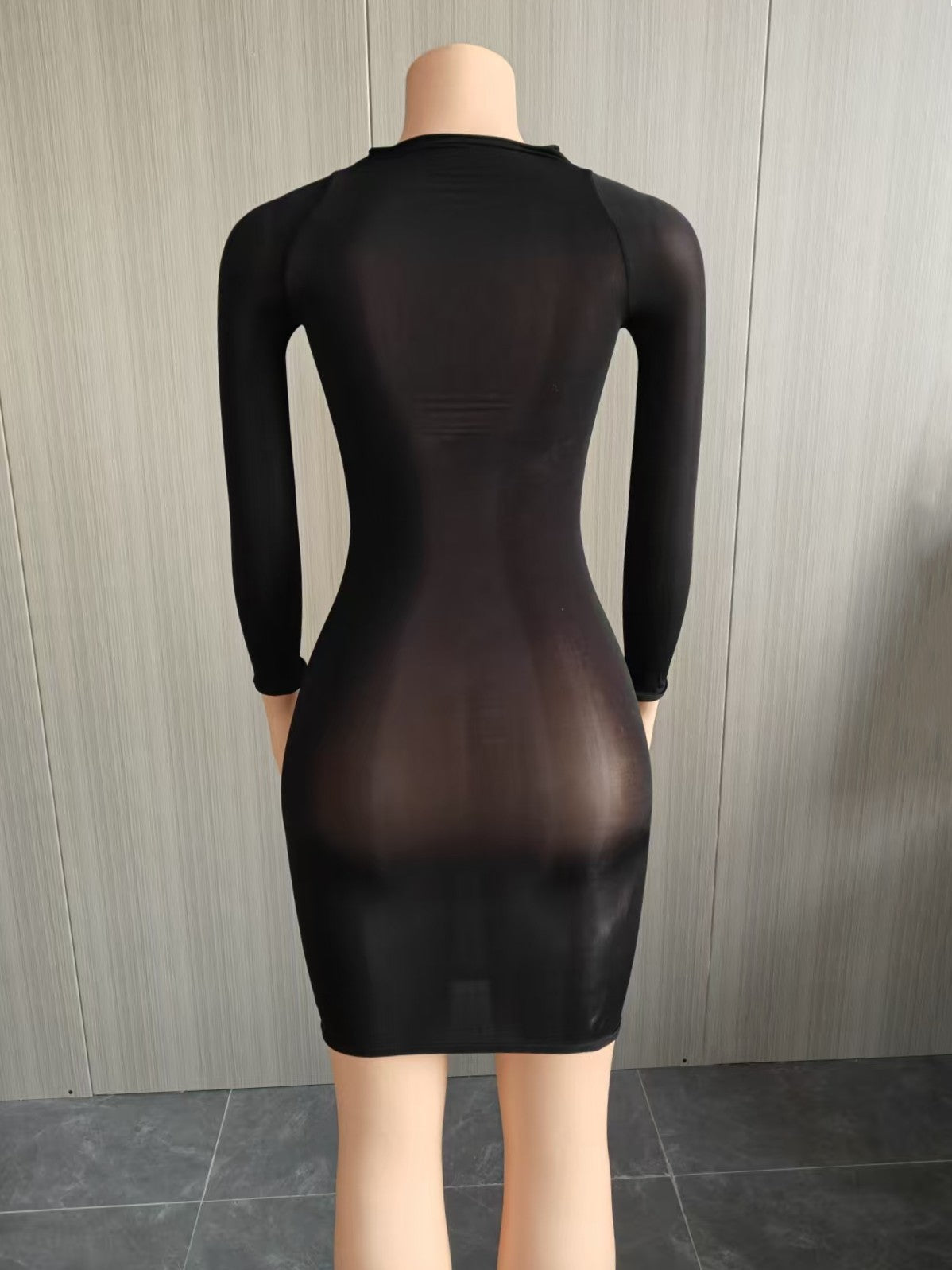 Bodycon Dress with Sheer Mesh Details