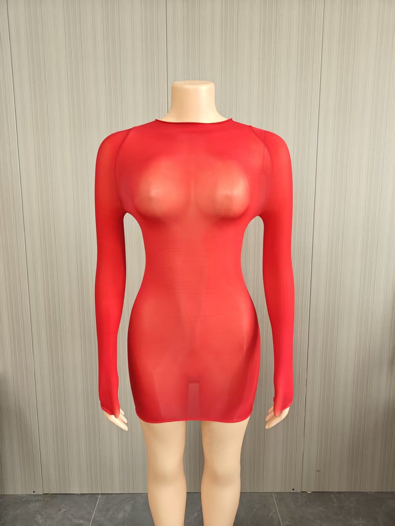 Bodycon Dress with Sheer Mesh Details