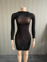 Bodycon Dress with Sheer Mesh Details
